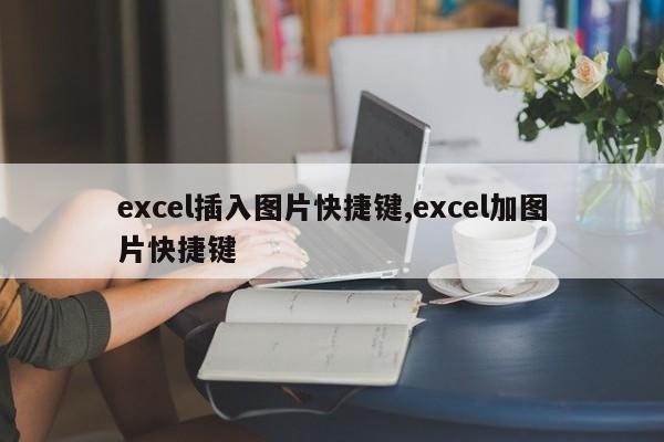 excel插入图片快捷键,excel加图片快捷键