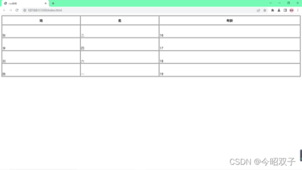 css双线表格,css细线表格