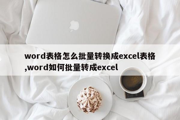 word表格怎么批量转换成excel表格,word如何批量转成excel