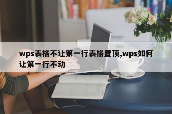 wps表格不让第一行表格置顶,wps如何让第一行不动